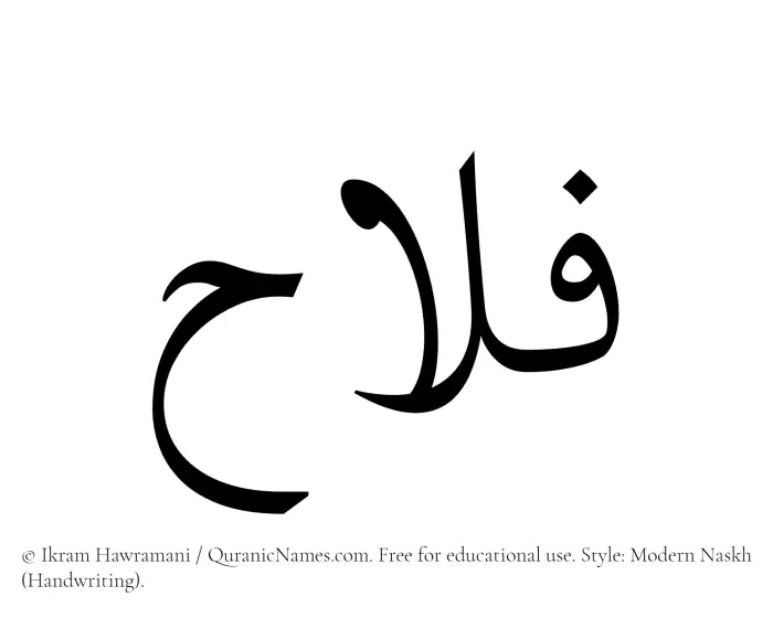 The Muslim name Falah written in naskh script