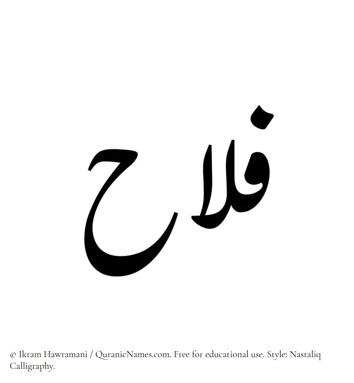 The Muslim name word Falah written in Nastaliq calligraphic script
