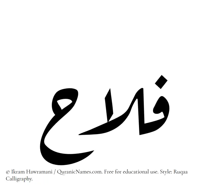 The Muslim name Falah written in Ruqaa calligraphic script