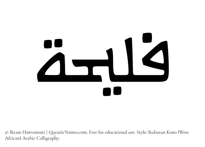 The Muslim name Faleehah written in Rubutun Kano calligraphic script