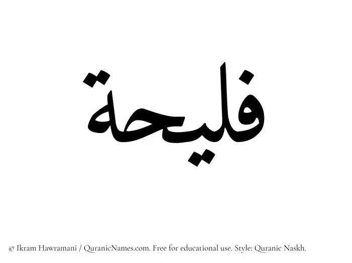 The Muslim name Faleehah written in Quranic naskh script