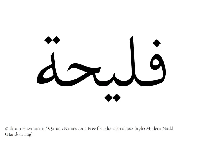 The Muslim name Faleehah written in naskh script