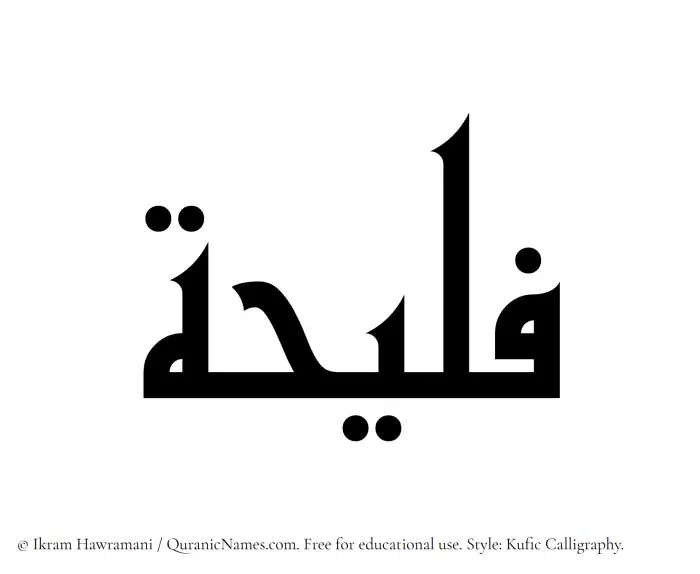 The Muslim name Faleehah written in Kufi/Kufic calligraphic script