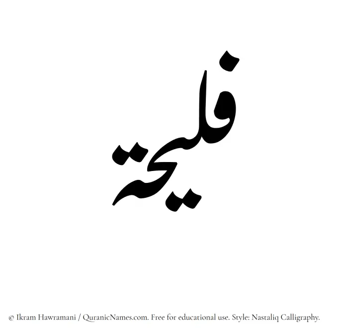 The Muslim name word Faleehah written in Nastaliq calligraphic script