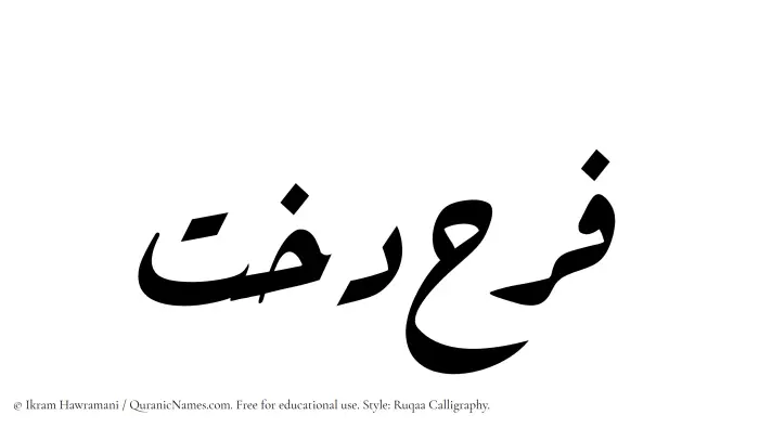 The Muslim name Farahdokht written in Ruqaa calligraphic script