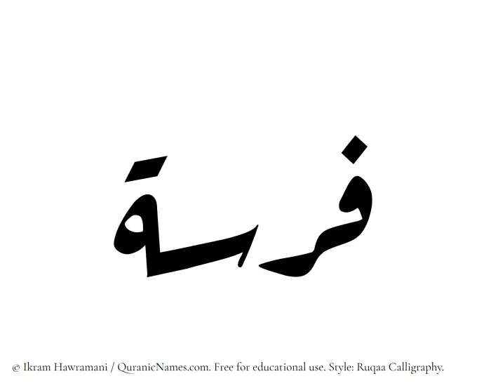 The Muslim name Farasah written in Ruqaa calligraphic script
