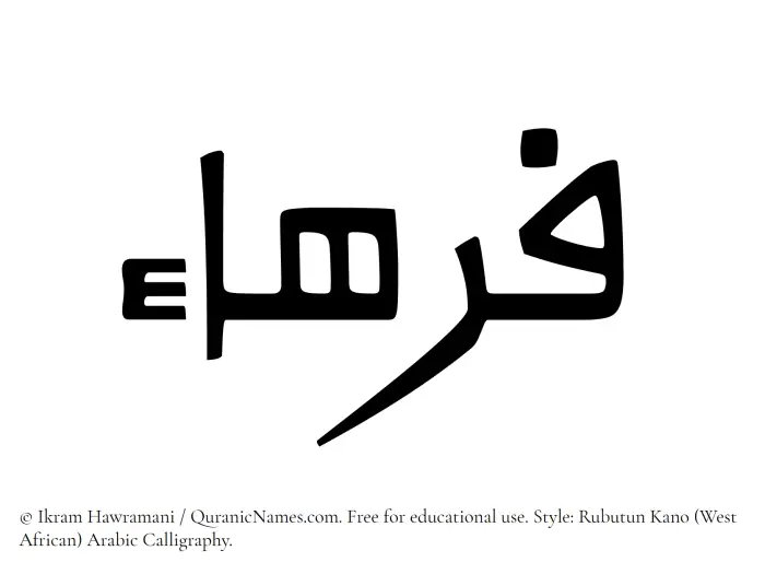 The Muslim name Farhaa written in Rubutun Kano calligraphic script