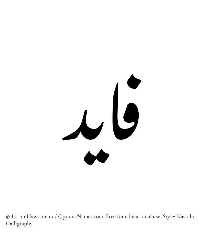 The Muslim name word Fayid written in Nastaliq calligraphic script