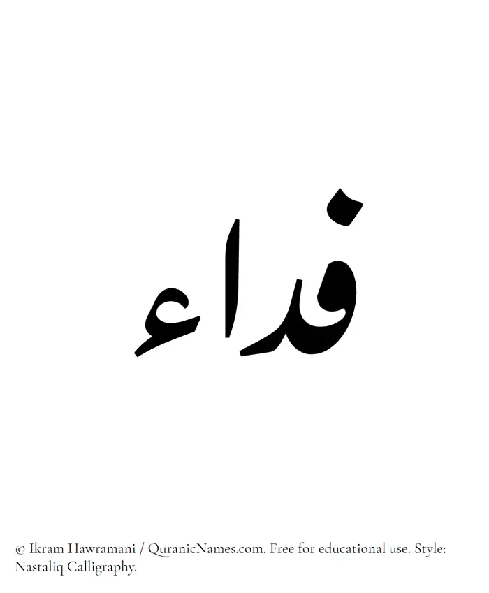 The Muslim name word Fida written in Nastaliq calligraphic script