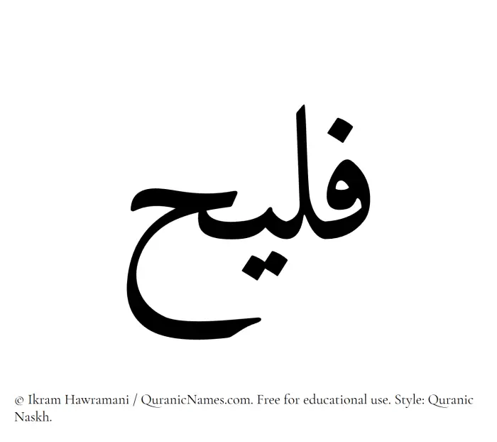 The Muslim name Fulaih written in Quranic naskh script