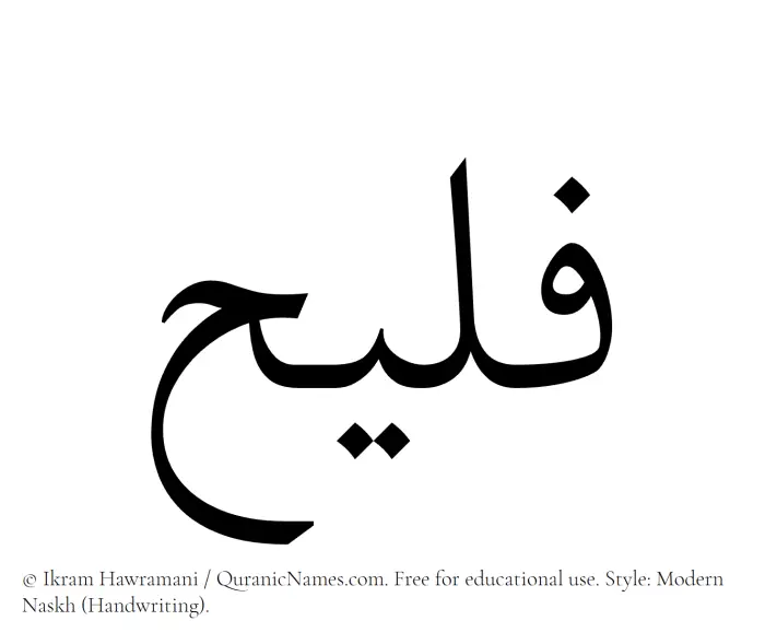 The Muslim name Fulaih written in naskh script