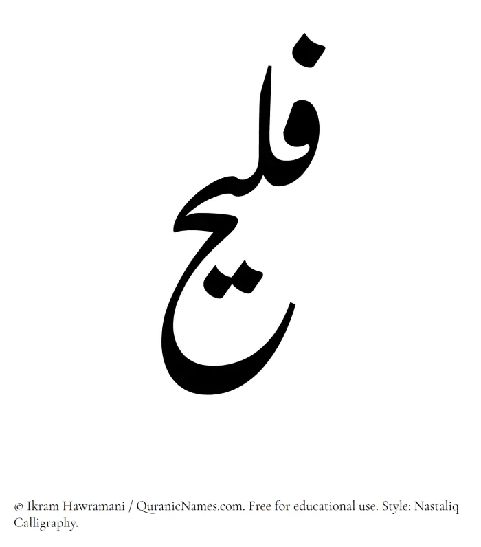 The Muslim name word Fulaih written in Nastaliq calligraphic script