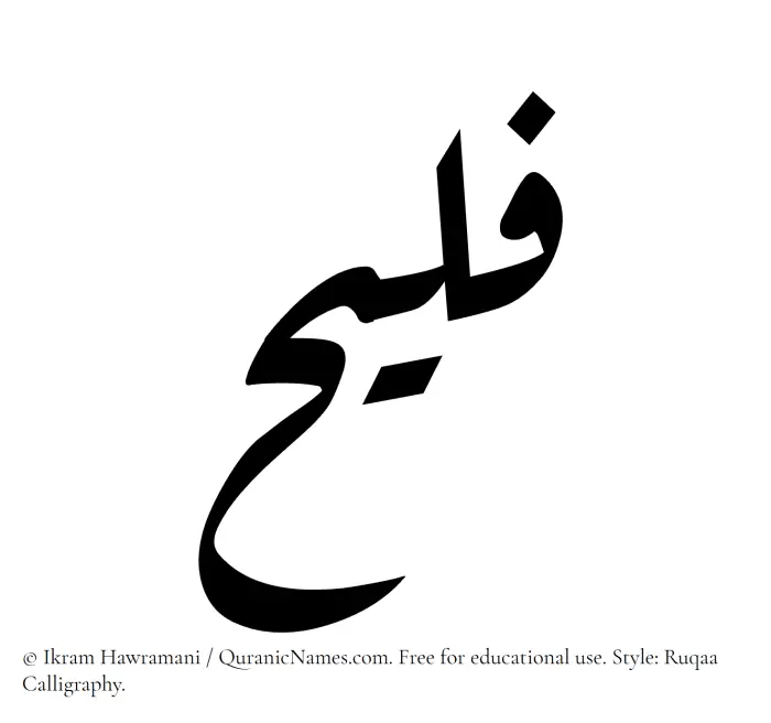 The Muslim name Fulaih written in Ruqaa calligraphic script
