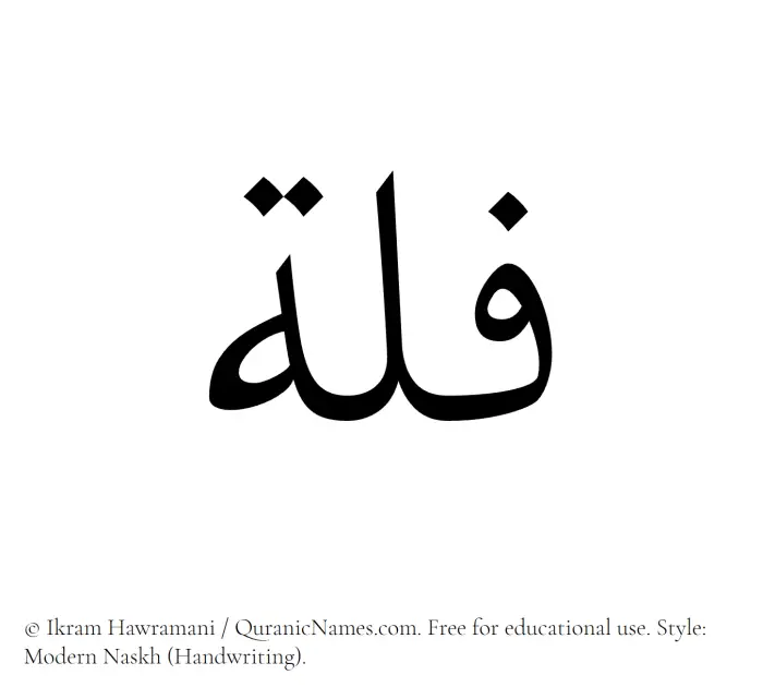 The Muslim name Fullah written in naskh script