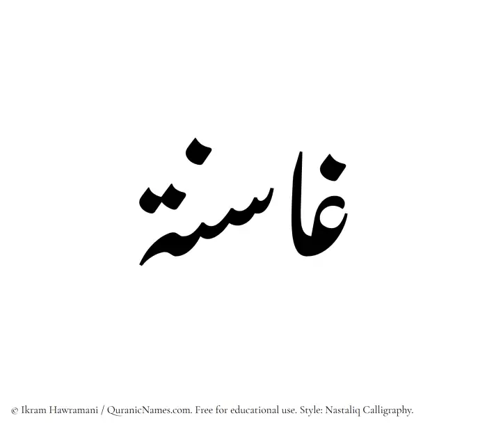 The Muslim name word Ghasina written in Nastaliq calligraphic script
