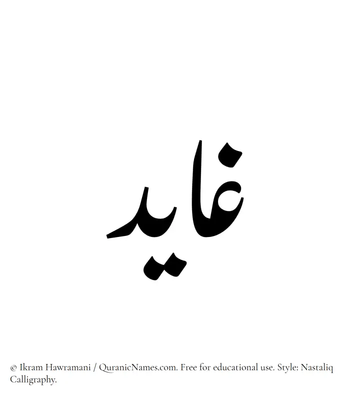 The Muslim name word Ghayid written in Nastaliq calligraphic script