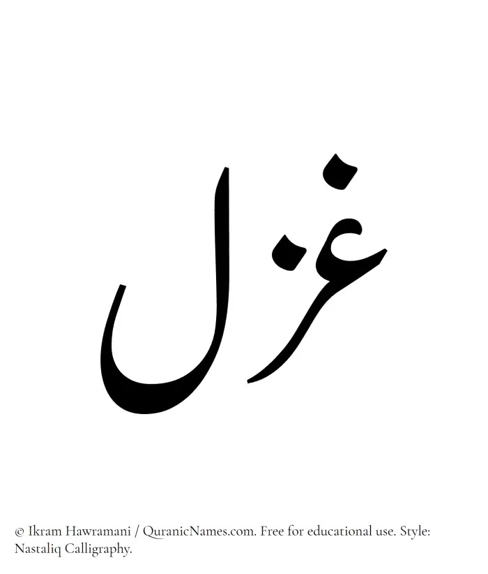 The Muslim name word Ghazal written in Nastaliq calligraphic script