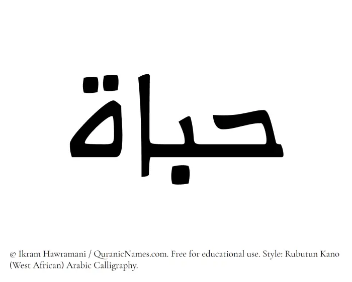 The Muslim name Habat written in Rubutun Kano calligraphic script