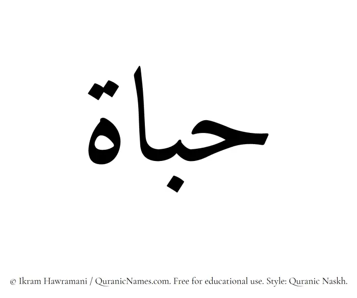 The Muslim name Habat written in Quranic naskh script