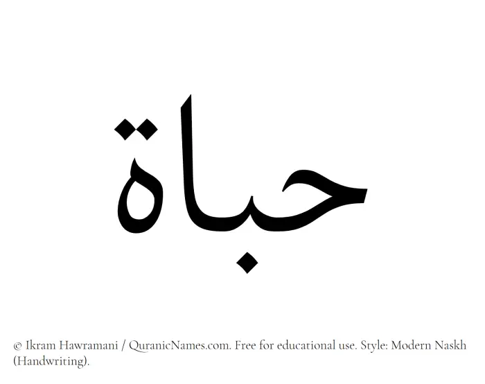 The Muslim name Habat written in naskh script