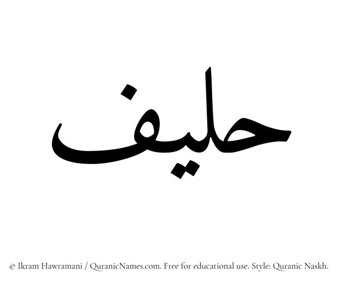 The Muslim name Haleef written in Quranic naskh script