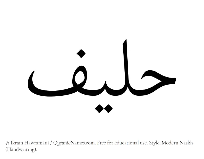 The Muslim name Haleef written in naskh script