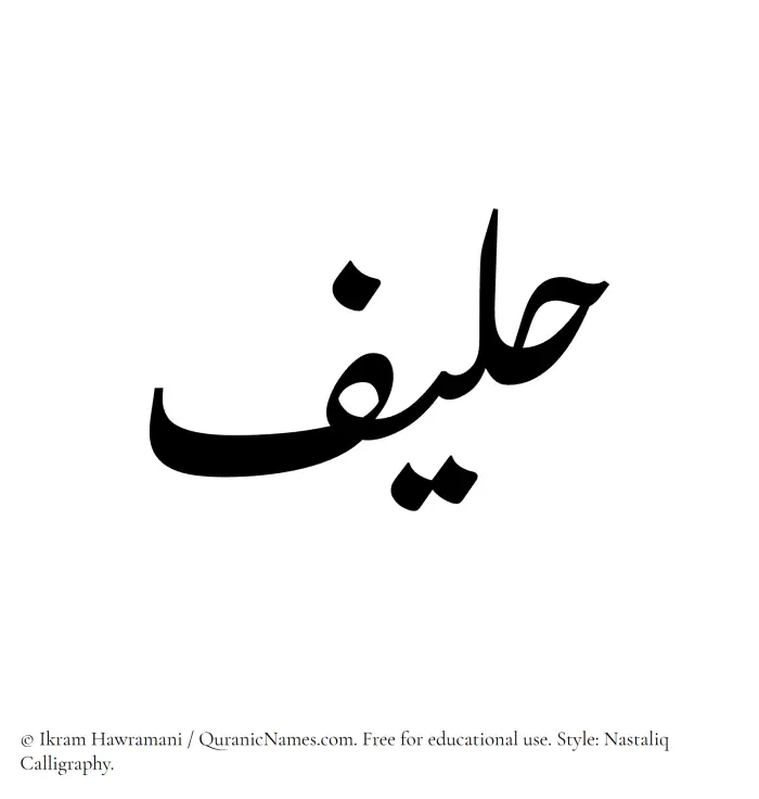 The Muslim name word Haleef written in Nastaliq calligraphic script