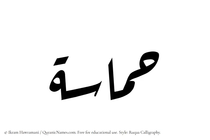 The Muslim name Hamasah written in Ruqaa calligraphic script
