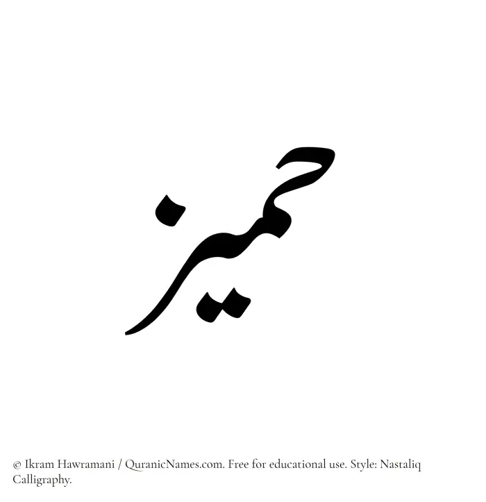 The Muslim name word Hameez written in Nastaliq calligraphic script