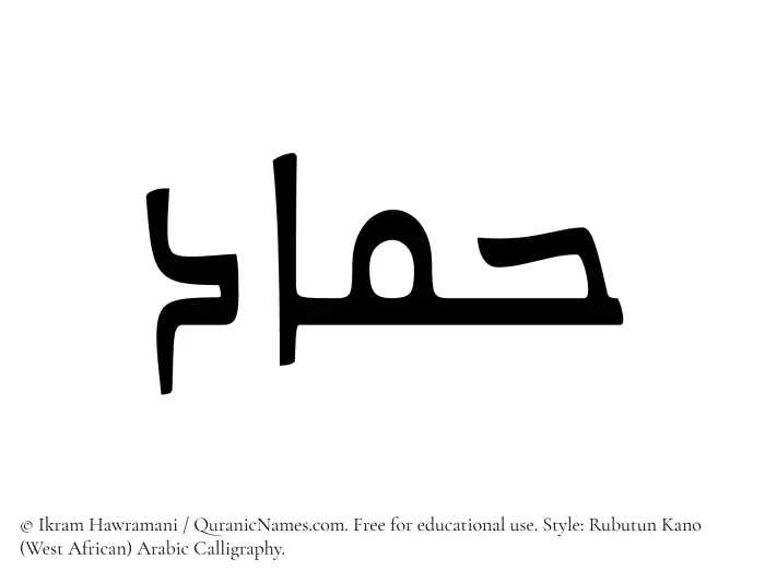 The Muslim name Hammad written in Rubutun Kano calligraphic script
