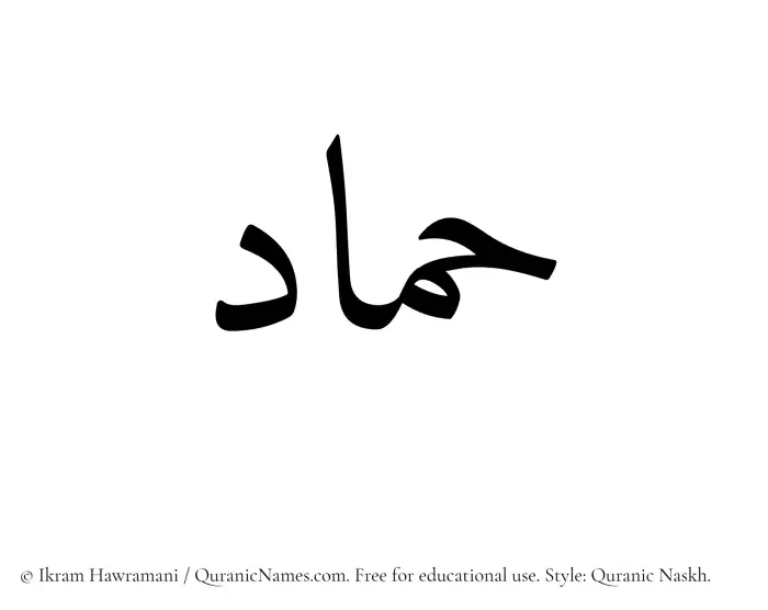 The Muslim name Hammad written in Quranic naskh script
