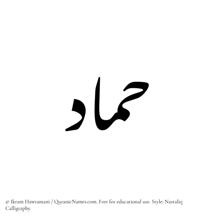 The Muslim name word Hammad written in Nastaliq calligraphic script