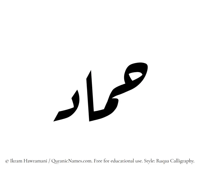 The Muslim name Hammad written in Ruqaa calligraphic script