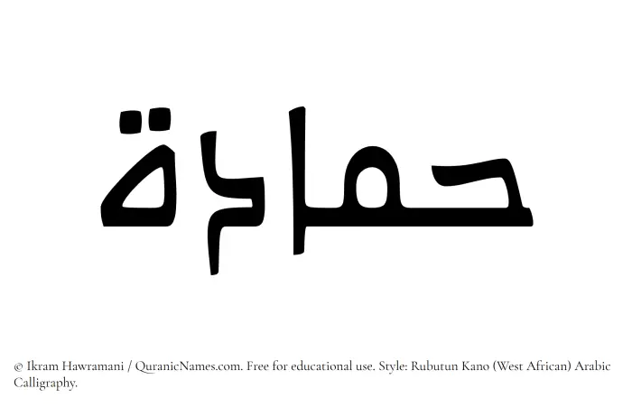 The Muslim name Hammadah written in Rubutun Kano calligraphic script