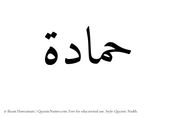 The Muslim name Hammadah written in Quranic naskh script