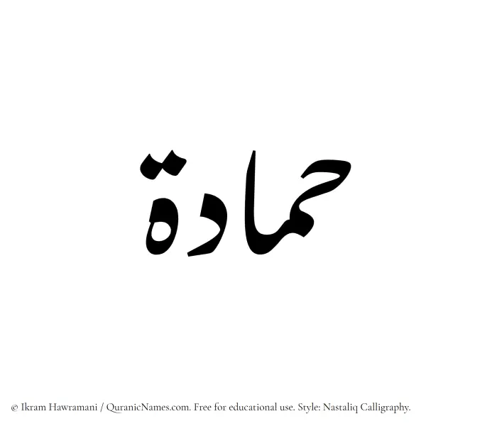 The Muslim name word Hammadah written in Nastaliq calligraphic script