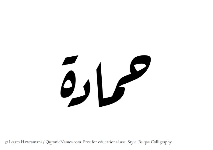 The Muslim name Hammadah written in Ruqaa calligraphic script