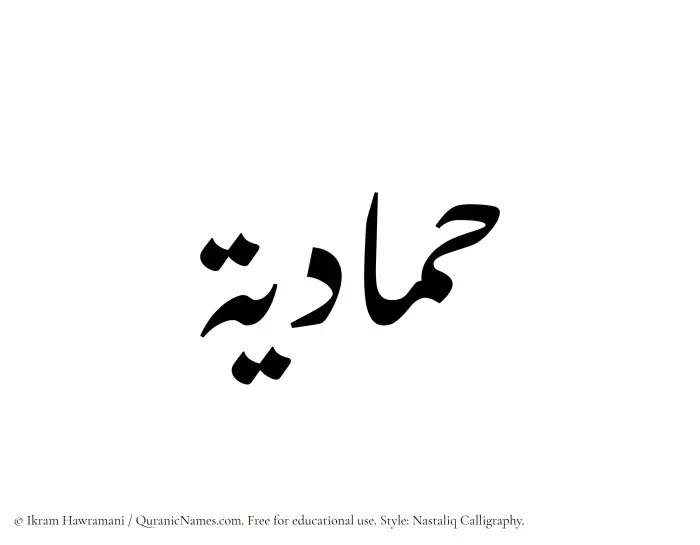 The Muslim name word Hammadiyyah written in Nastaliq calligraphic script