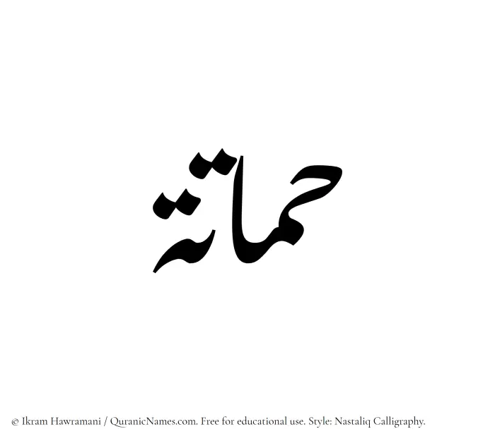 The Muslim name word Hammatah written in Nastaliq calligraphic script