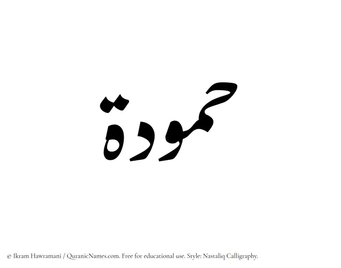 The Muslim name word Hammudah written in Nastaliq calligraphic script