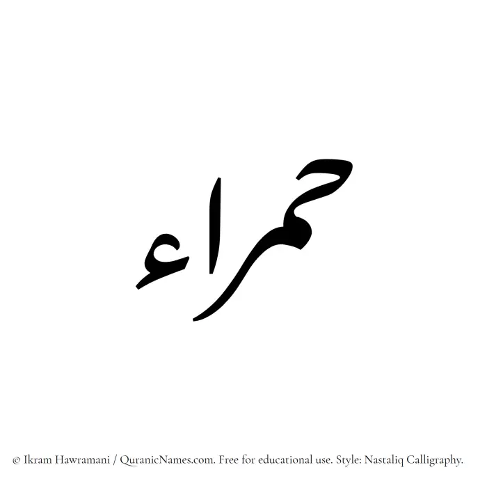 The Muslim name word Hamraa written in Nastaliq calligraphic script