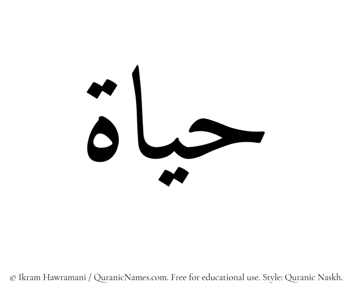 The Muslim name Hayat written in Quranic naskh script