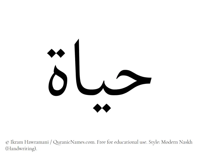 The Muslim name Hayat written in naskh script