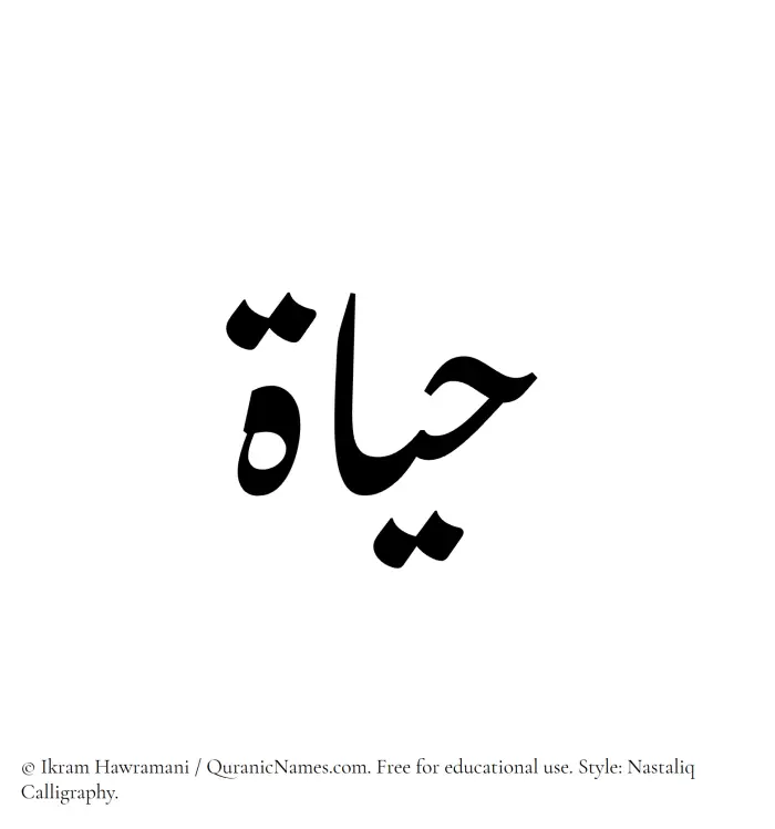 The Muslim name word Hayat written in Nastaliq calligraphic script