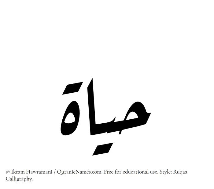 The Muslim name Hayat written in Ruqaa calligraphic script