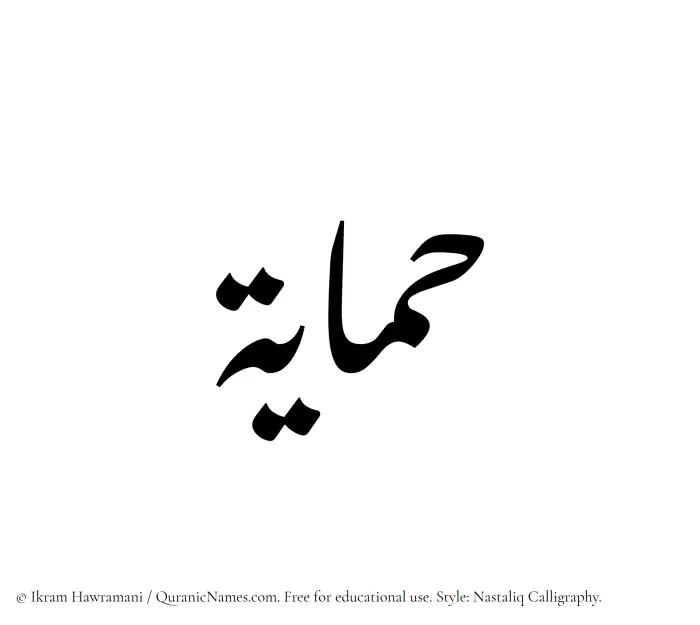 The Muslim name word Himayah written in Nastaliq calligraphic script