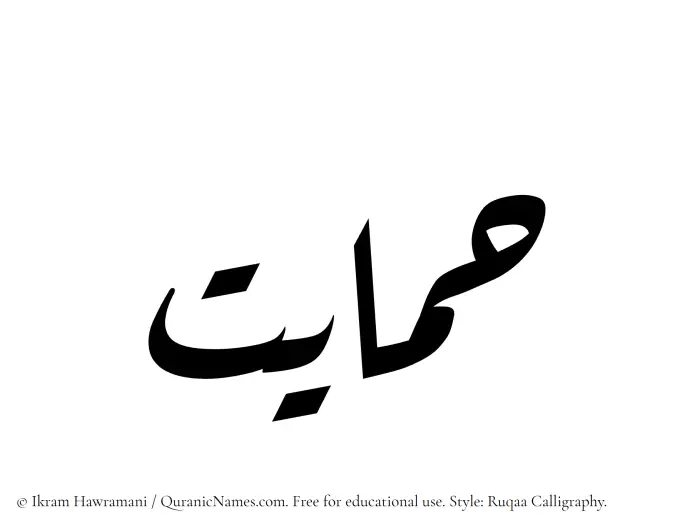 The Muslim name Himayat written in Ruqaa calligraphic script