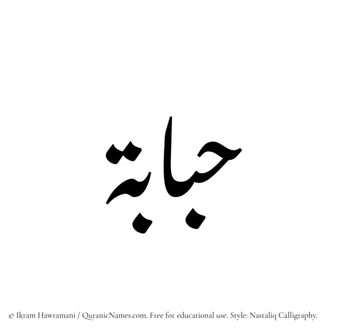 The Muslim name word Hubabah written in Nastaliq calligraphic script