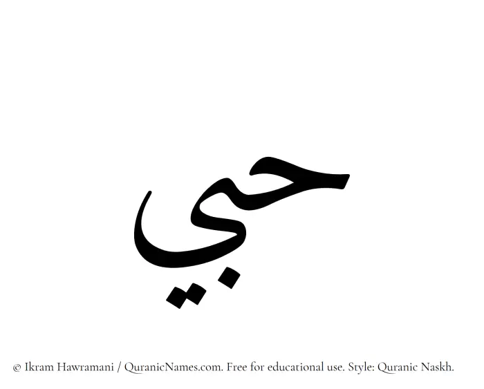 The Muslim name Hubbee written in Quranic naskh script