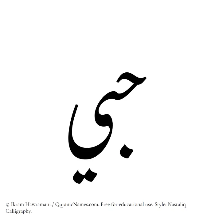 The Muslim name word Hubbee written in Nastaliq calligraphic script